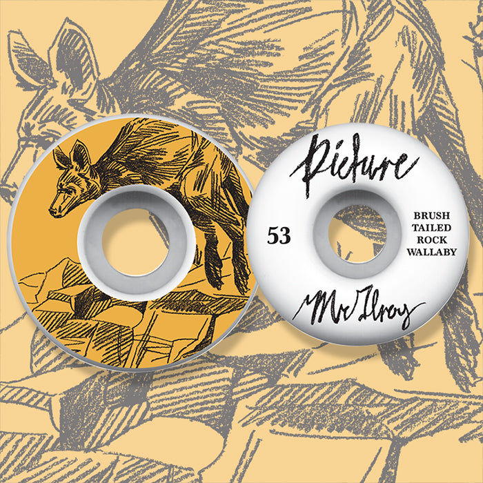 Picture Wheels - Ben Horton Joel Mcilroy 53mm