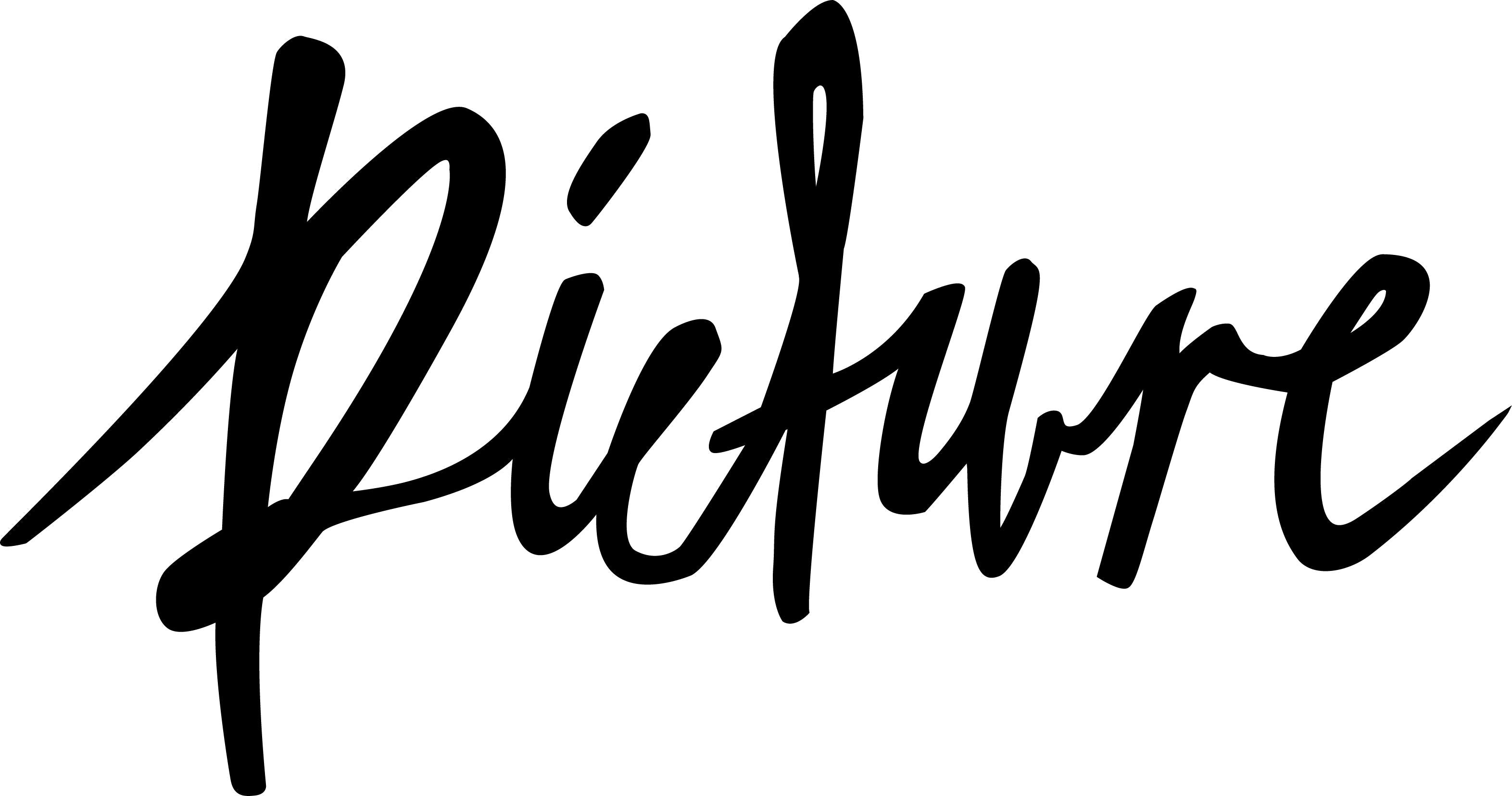 Picturewheelco