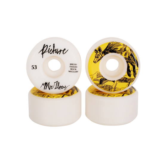 Picture Wheels - Ben Horton Joel Mcilroy 53mm